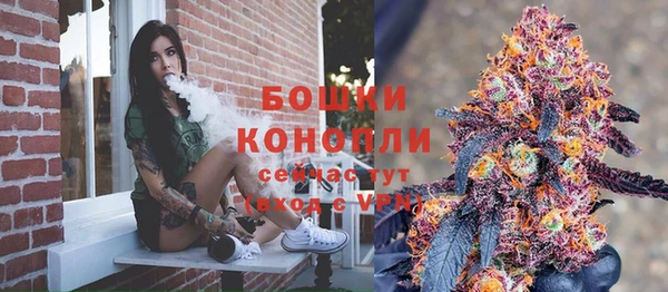 мяу мяу мука Горно-Алтайск