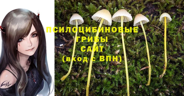 мяу мяу мука Горно-Алтайск