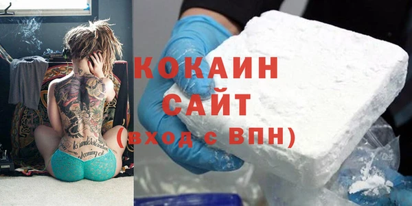 мяу мяу мука Горно-Алтайск