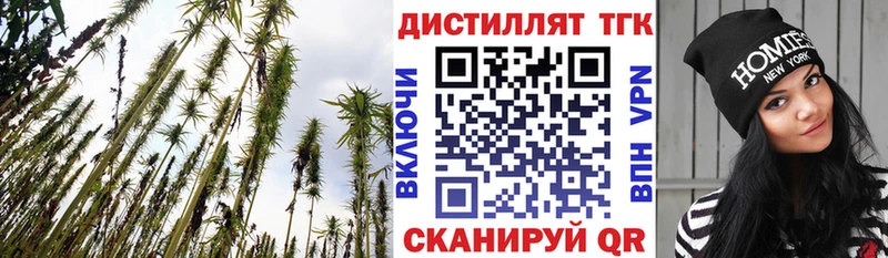 ТГК вейп  блэк спрут зеркало  Макарьев 
