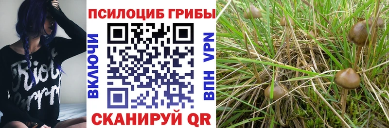 Галлюциногенные грибы мухоморы  где продают   Макарьев 